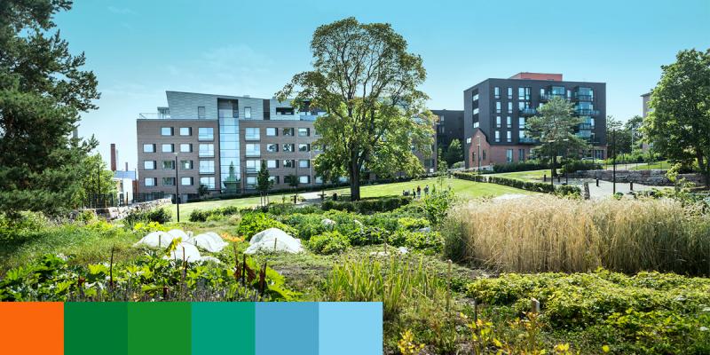 Urban agriculture in front of modern, urban buildings