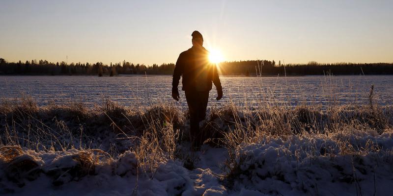 Haastateltava Markus Eerola kävelee pellolla auringon laskiessa hänen selkänsä takana.