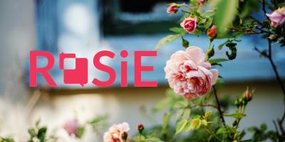 Project logo in a picture with blooming roses and blue window frames.