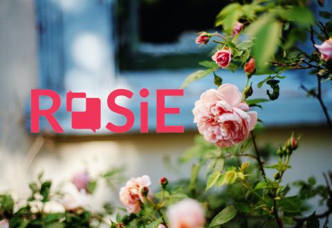 Project logo in a picture with blooming roses and blue window frames.