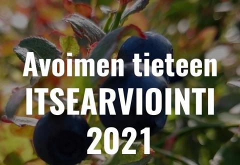 Närbild på blåbärsris, på bilden texten Självutvärdering av öppen vetenskap 2021 på finska.