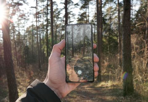 A hand holding a mobile phone with a photo of a surrounding forest.